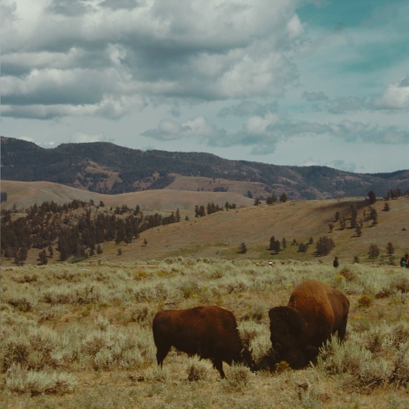 Meet your Posher, Kate - Picture 1 of 1